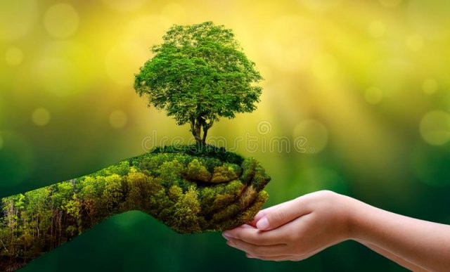 See the nature
