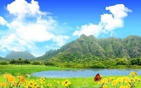 See the nature