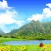 See the nature